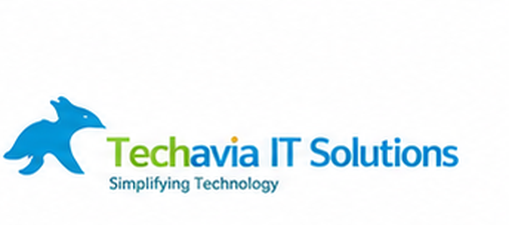 Techavia IT Solutions